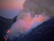 Billowing smoke and flames from hillside fire, Garraf NP, Catalonia, Spain, July 1999