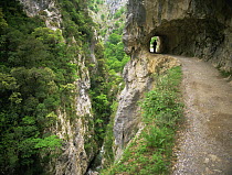 Hiker on path that is cut through the rock, Garganta del Cares, Picos de Europa NP, Leon, Spain, July 2000