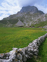 Vega de Stores, with dry stone wall in foreground, Picos de Europa NP, Asturias, Spain, July 2000