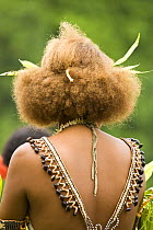 Rrear view of woman at music and dance performance on Santa Ana Island, Solomon Islands. Santa Ana has a mixture of Melanesian and Polynesian traditions. They are famous for their pan pipes and perfor...