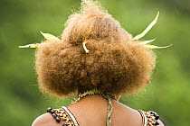 Rear view of Woman at music and dance performance on Santa Ana Island, Solomon Islands. Santa Ana has a mixture of Melanesian and Polynesian traditions. They are famous for their pan pipes and perform...