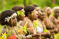 Women performing in music and dance performance on Santa Ana Island, Solomon Islands. Santa Ana has a mixture of Melanesian and Polynesian traditions. They are famous for their pan pipes and perform a...