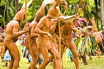 Men using two colours of mud for body decoration during traditional dance performance on Santa Ana Island, Solomon Islands. Santa Ana has a mixture of Melanesian and Polynesian traditions. They are fa...