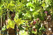 Villagers greet tourists with traditional dance performance at Nembao Village, Utupua Island, Solomon Islands May 2008