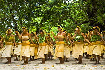 Women participating in Village tour, dances and performances by the people of Tikopea Island, Vanuatu May 2008