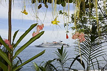 Clipper Odyssey tourist cruise boat moored off Ambrym Island, Vanuatu. Ambrym is famous for its tamtams (slit gong drums). It has also been called Black Island because of its dark volcanic soils.