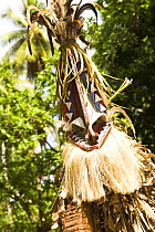 Dance performance by villagers in full masks, Ambrym Island, Vanuatu. Ambrym is famous for its tamtams (slit gong drums). It has also been called Black Island because of its dark volcanic soils. May 2...