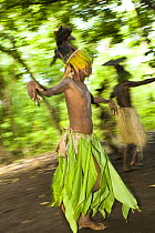 Motion shot of young man in traditional dress performing a bat dance for tourists, Rano Island, Vanuatu May 2008