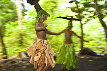 Motion shot of young man in traditional dress performing a bat dance for tourists, Rano Island, Vanuatu May 2008