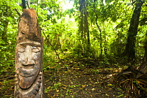 Coconut palm tree carving by the people of Rano Island, Vanuatu May 2008
