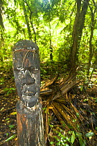 Coconut palm tree carving by the people of Rano Island, Vanuatu May 2008