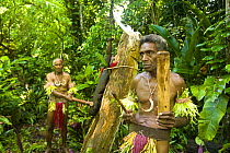 Two elder men with traditional drum performing for tourists on Rano Island, Vanuatu May 2008