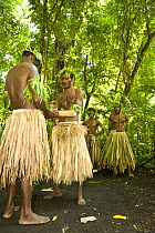 Young men in traditional grass skirts performing traditional dance for tourists, Rano Island, Vanuatu May 2008