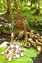 Man demonstrating coconut meat harvesting for tourists, Rano Island, Vanuatu May 2008