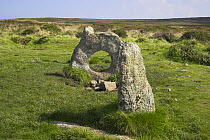 Men An-Tol standing stones, West Cornwall, UK