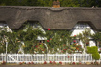 Traditional thatched cottages with summer roses, Wherwell, nr Andover, Hampshire, UK