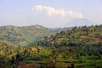 Farmland and traditional houses with Nyiragongo volcano (3740m) in the background, Rwanda, Africa