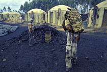 Charcoal production using wood from eucalyptus trees (not native to Brazil) in region of Atlantic rainforest, Minas Gerais State, Eastern Brazil.