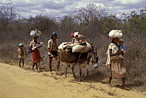 'Retirantes', a family leaving their home place because of extreme drought in the Caatinga region near Paulo Afonso town, Bahia, NE Brazil, 1982