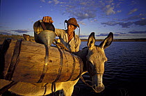 'Aguadeiro' collects water from reservoir to sell in the local small towns, nr Aiuaba, Ceara, NE Brazil, 1984