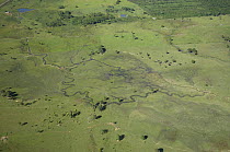 Aerial view of watercourse with its gallery rainforest completely destroyed to create pasture land for cattle, Rondônia State, Western Brazil.