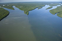 Aerial view of the meeting of the rivers Juruena and Arinos, near Juruena town, Northern Mato Grosso State, Brazil.