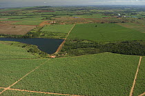 Aerial view of Sugar cane plantation and dam, Cerrado region, Northern Mato Grosso State, Western Brazil.