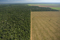 Aerial view of cattle pasture land created from tropical rainforest, Western Mato Grosso State, Western Brazil.