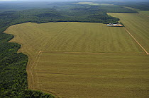 Aerial view of Soya bean plantations created from deforestation of rainforest, near Vilhena town, Southeastern Rondnia State, Western Brazil.