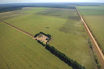 Aerial view of Soya bean plantations near Vilhena town, Southeastern Rondônia State, Western Brazil.