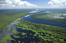 Aerial view of "Várzea" flooded Amazon Rainforest on the banks of the Guaporé / Itenez River, Western Rondônia State and Eastern Beni Department, border of Brazil and Bolivia.