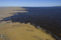 Aerial view of the Meeting of the waters of the Negro and Soilimões rivers that together form the Amazonas River, 14km west of Manaus, in Amazonas State, Northern Brazil.
