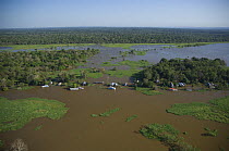 Aerial view of flooded 'Varzea' rainforest, floodplain  of the Solimões River during the rainy season, near Manaus city, Amazonas State, Northern Brazil.