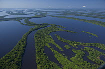 Aerial view of Anavilhanas Ecological Station and "igapó" flooded Amazon Rainforest, in Negro River, north of Manaus city, Amazonas State, Northern Brazil.