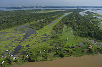 Aerial view of village in the "várzea" flooded rainforest of Amazonas River, near Manaus city, Amazonas State, Northern Brazil.