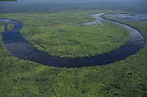 Aerial view of Jaú National Park and "igapó" flooded Amazon rainforest, in Negro River upriver of Manaus city, Amazonas State, Northern Brazil.