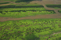 Aerial view of "Várzea" rainforest floodplain with lakes, watercourses etc. of Amazonas River, South of Itacoatiara town, Amazonas State, Northern Brazil.