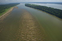 Aerial view showing layers of sediments that are deposited over long periods of time (decades) on the margin of the rivers forming Amazon  "restingas", as here on this island of Madeira River, during...