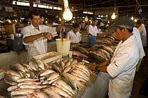 Fish market Manaus Moderna, near the Manaus municipal market, on the banks of the Negro River, Amazonas State, Brazil.
