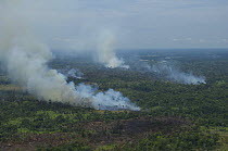 Aerial view of fire burning the vegetation of the floodplain on the right margin of the Amazonas River, between Manaus city and Itacoatiara town, Amazonas State, Northern Brazil.