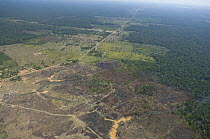 Aerial view of deforestation of Amazon upland rainforest near the AM-254 road (Autazes -Careiro road), West of Autazes town, Amazonas State, Northern Brazil.