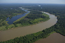 Aerial view of Madeirinha River that flows parallel to the Madeira River, and lakes of its floodplain ("várzea") with different colours of water, at Northwest of Borba town, Amazonas State, Northern...