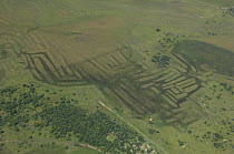 Aerial view of vestiges on the land of ancient agricultural works of primitive people, Beni floodplain, Beni Department, Bolivia.