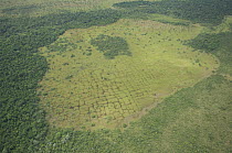 Aerial view of vestiges on the land of ancient agricultural works of primitive people, Beni floodplain, Beni Department, Bolivia