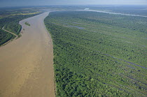Aerial view of amazon "várzea" flooded forest along the Beni River near Riberalta town, Beni Department, Northeastern Bolivia.