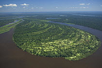 Aerial view of Amazon "várzea" flooded Rainforest of Mamoré River, during the great flood of 2008, at the border of Brazil (Rondônia State) with Bolivia (Beni Department).