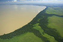 Aerial view of Rogaguado Lake with its shores covered by "buriti" palm trees (Mauritia flexuosa), in the region of the great lakes of the Beni floodplains, Beni Department, Northeastern Bolivia.