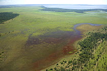 Aerial view of red algae (?) near the shores of Lake Guachuna during the flood season, in the region of the great lakes of the Northern Beni Department of Northeastern Bolivia.