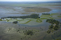 Aerial view of the Beni floodplains during the 2008 great flood of the Mamoré River, Beni Department, Eastern Bolivia.