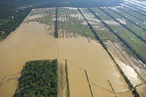 Aerial view of Soya bean plantation flooded during the great 2008 flood of Mamoré River, in Santa Cruz Department, Bolivia.